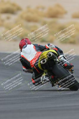 media/Jan-14-2023-SoCal Trackdays (Sat) [[497694156f]]/Turn 12 Backside (1010am)/